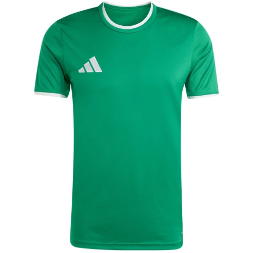 Koszulka Adidas Entrada 26 w kolorze zielonym przód
