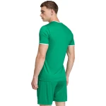 Koszulka Adidas Entrada 26 tył