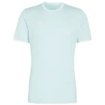 Koszulka Adidas Entrada 26 w kolorze błękitnym przód