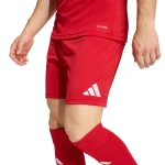 Spodenki sportowe Adidas Entrada 26 logo