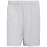 Spodenki sportowe Adidas Entrada 26 w kolorze jasnoszarym